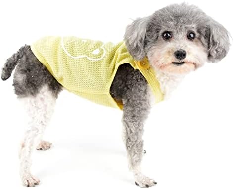 Ranphy vafle košulja za pse za male pseće djevojke medvjede odjeće za kućne ljubimce s d-prstenom štene proljetne ljetne