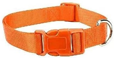 Zack & Zoey Orange Dog Collar Bulk Lot Packs 4 Veličine najlonskog legla Shelpy Shelsing Shelsing Shelsing