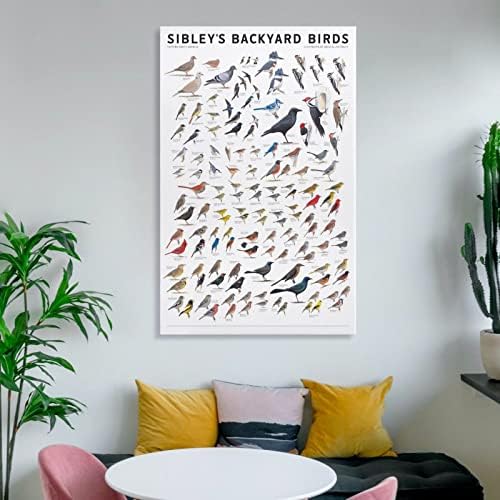 Sibleys dvorišta ptice istočne Sjeverne Amerike Poster Dekorativno slikarstvo platno zidna umjetnička dnevna soba plakati