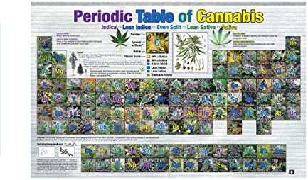 Studio B Periodični tablica plakata kanabisa Pot Potter Elementi marihuane 24 x 36