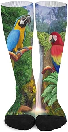 Tropske papige čarape u boji u boji Sportske čarape s visokim čarapama za odrasle za tinejdžere