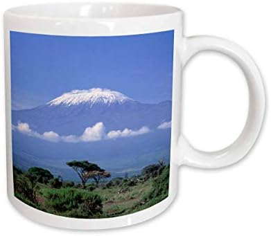 3Drose Afrika Tanzanija Mt Kilimanjaro krajolik i zebra - Gavriel Jecan, keramička šalica, 11 -oz