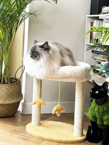 Mačji stup za grebanje s krevetom, mačje drvo s uklonjivim Grgečem u obliku piletine, mačji toranj, mačji stup za grebanje