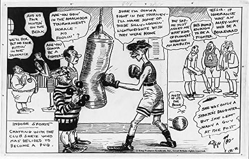 PovijesnaFindings Foto: Foto: samo iz stripa s jednim panelom, u zatvorenom sportu, Club Sheik, Pug, C1919, humor