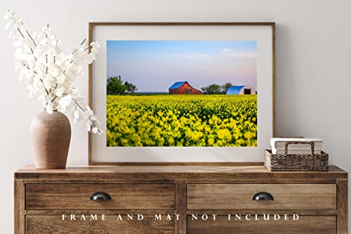 Fotografska fotografija Print Slika crvene staje u žutoj kanoli polje proljetne večeri u Oklahoma Farm Wall Art Farmhouse