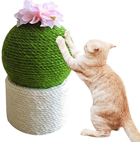 Smiješni kaktus s cvijetom mačji grebalica interaktivne igračke za mačke