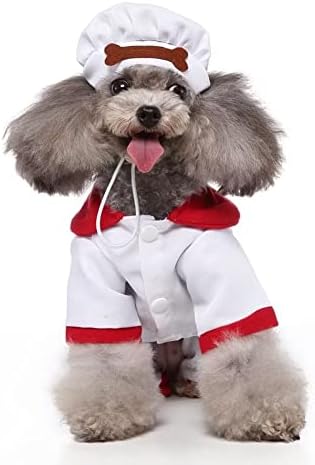 Slatka sestra cosplay kostim za male pse mačke novitet šteneća majica odjeća s šeširom xs