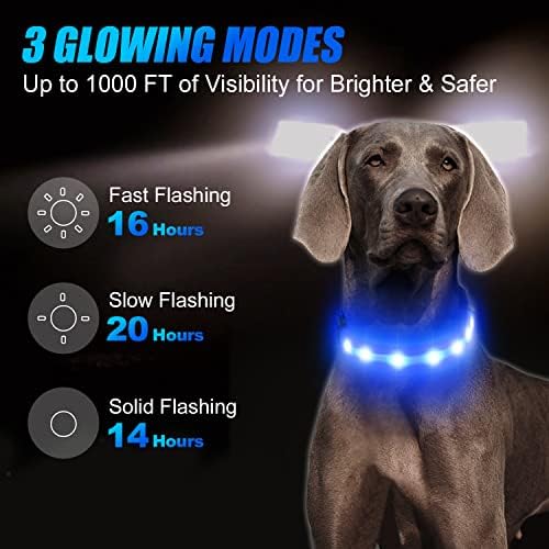Joytale 16-24 '' Ovratnik za pse i dvostrani reflektirajući uzice s 5 stopa, osvjetljavajući se punjiva noćna sigurnost za