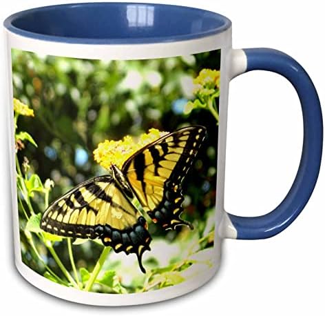 3Drose Awesome Swallowtail Leptir Photography Cug, 11oz, crna/žuta