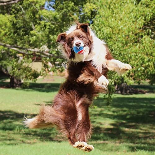 Gigwi Squeaky Teniski kuglični psi igračke za pse, interaktivna pseća lopta za trening malih i srednjih pasa, 2,5 ”šarena